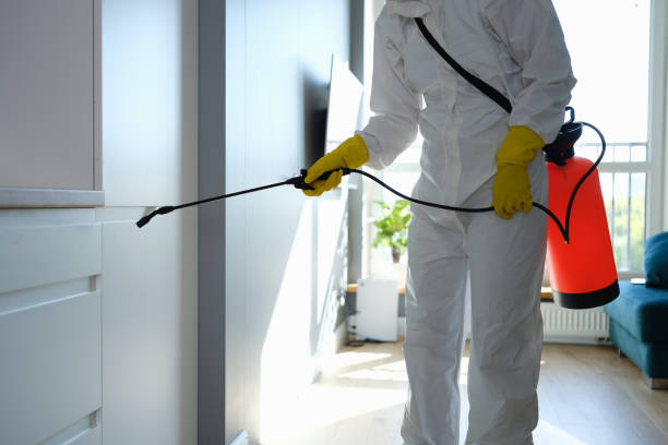 Professional Mold Removal in Nicholasville, KY